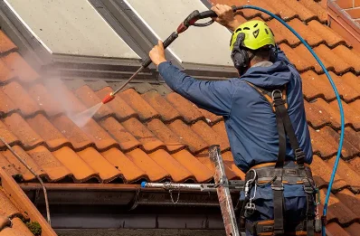Démoussage et hydrofuge de toiture à Arlempdes